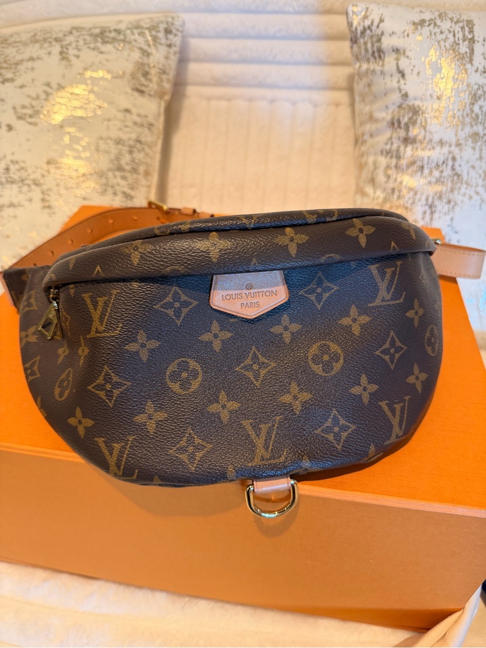Louis Vuitton Bumbag in Monogram Canvas - Picture 2 of 16